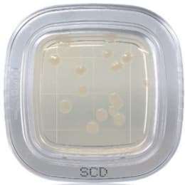 平片®DD 20片SCD琼脂培养基PD0023 20片
