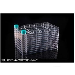 多层烧瓶10室细口通气帽/细口塞塞尔帽6335 cm²TC处理灭菌后WNB772302 6入
