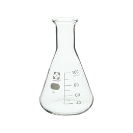 带三角烧瓶标准刻度的100mL