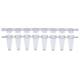 0.1mL PCR8连管+8连平帽套137-538C1200入