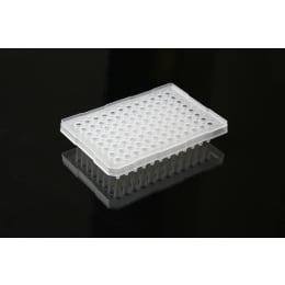 スカート付き96穴PCRプレート 0.2mL 100枚