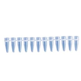 PCR 12连管0.2mL自然T-3114-1 12x80 strip