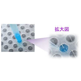 用于预处理的自旋柱MonoSpinS型5010-21950