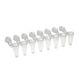 Amplitube™PCR8连管&单锁平帽0.1mL自然T320-2LPN1000输入
