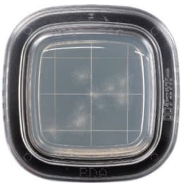 平片®DD20枚PD琼脂培养基(CP加)PD0018 20枚入