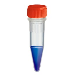 超DNA梯形标记10kbp 500µL BRG-10kbp-IW