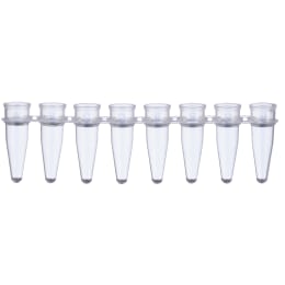 0.2mL PCR8连管137-333C1200入