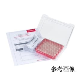 带证书的小瓶kit2mL透明slit 6 PMSCK540W 100根