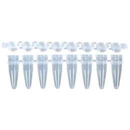 PCR8连管&8连扁帽0.2mL自然MB-P08-B960入