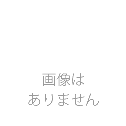 气筒适配器CP250（市售气瓶用）