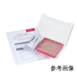 带证书的小瓶kit2mL透明6PMCK34W100根