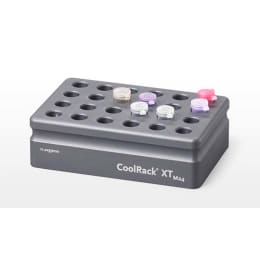 CoolRack®XT M24 1.5 mL/2 mLx 24根灰色BCS-535