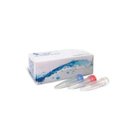AmaR OnePCR HotStar 250反应SM216-0250