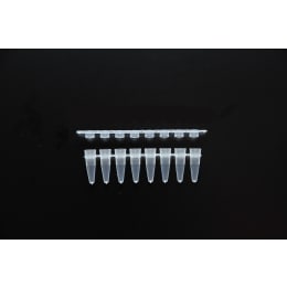 用于PCR的8管扁平BGR-FC-01 120条