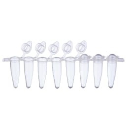 0.2mL PCR8连管圆顶帽137-232C 120入