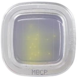 平片®DD20枚MBCP琼脂培养基PD0022 20枚入